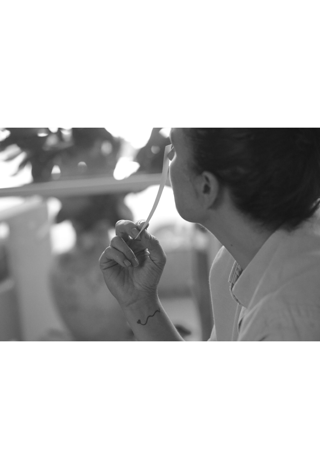 Un Viaje Olfativo. Las Palmas 12 de Marzo